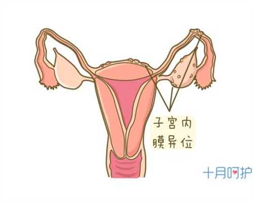 西安代孕保成功在哪_西安专业的助孕包性别_孕妇初期能不能吃花菜