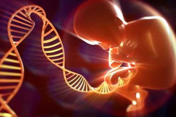 男染色体异常试管_子宫切除不能生育_泰国试管婴儿移植几个胚胎？移植后的注