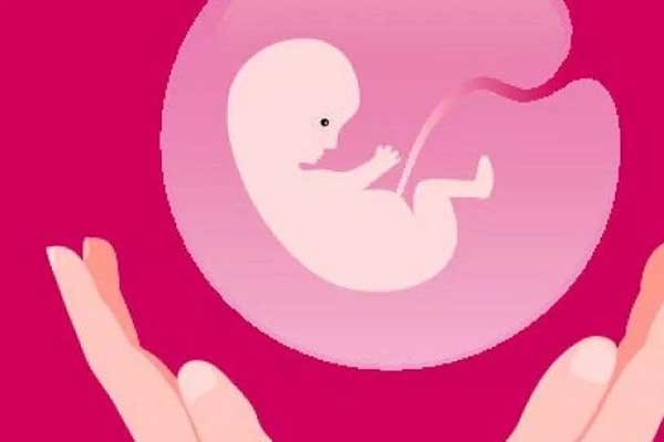 西安代孕者联系方式|郴州姐妹47岁高龄试管婴儿唯一男胚一次移植成功！